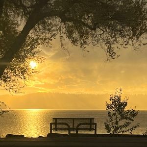 Meet your Posher, Drew